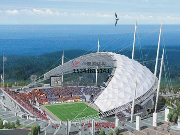 陽新膜結構看臺雨棚設計生產安裝