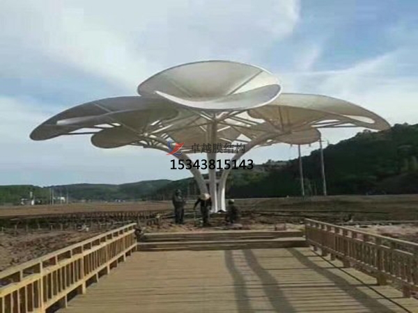 膜結(jié)構(gòu)供應(yīng)商哪家實(shí)力強(qiáng)？