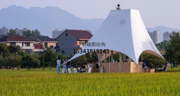 如斯美好！稻田中的張拉膜“塔亭”